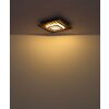 Woody Plafonnier Luminaires Globo Lighting LED Écru, Noir, 1 lumière