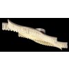 Juliet Plafonnier Luminaires Globo Lighting LED Anthracite, 1 lumière