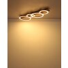Tisha Plafonnier Luminaires Globo Lighting LED Écru, Noir, 1 lumière