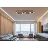 Tisha Plafonnier Luminaires Globo Lighting LED Écru, Noir, 1 lumière