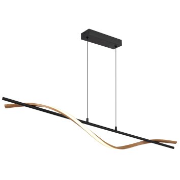 Watkins Suspension Luminaires Globo Lighting LED Noir, 1 lumière