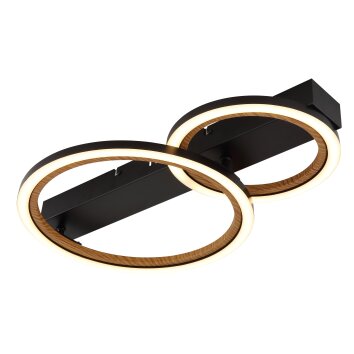 Dakari Plafonnier Luminaires Globo Lighting LED Noir, 1 lumière