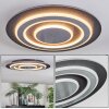 Lidor Plafonnier LED Noir, 1 lumière