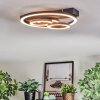 Pilor Plafonnier LED Noir, 1 lumière, Télécommandes