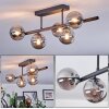 Chehalis Plafonnier, Boule lumineuse Fumé, 5 lumières