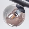 Chehalis Plafonnier, Boule lumineuse Fumé, 5 lumières