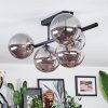 Chehalis Plafonnier, Boule lumineuse Fumé, 5 lumières