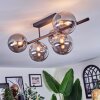 Chehalis Plafonnier, Boule lumineuse Fumé, 5 lumières