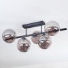 Chehalis Plafonnier, Boule lumineuse Fumé, 5 lumières