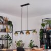 Koyoto Suspension, Boule lumineuse, Suspension Bleu, Or, Vert, Clair, 4 lumières