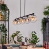 Gastor Suspension, Boule lumineuse, Suspension Ambre, Clair, Fumé, 5 lumières