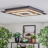 Lidor Plafonnier LED Noir, 1 lumière