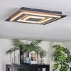Lidor Plafonnier LED Noir, 1 lumière