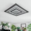 Lidor Plafonnier LED Noir, 1 lumière