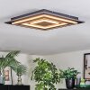 Lidor Plafonnier LED Noir, 1 lumière