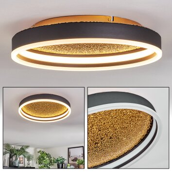 Guine Plafonnier LED Or, Noir, 1 lumière