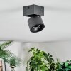 Narel Plafonnier, Spot de plafond LED Noir, 1 lumière