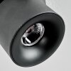 Narel Plafonnier, Spot de plafond LED Noir, 1 lumière