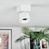 Narel Plafonnier, Spot de plafond LED Blanc, 1 lumière