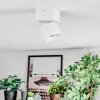 Narel Plafonnier, Spot de plafond LED Blanc, 1 lumière