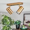 Javel Plafonnier, Spot de plafond Or, 2 lumières