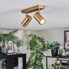 Javel Plafonnier, Spot de plafond Or, 2 lumières