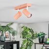Javel Plafonnier, Spot de plafond Rose, Blanc, 2 lumières