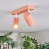 Javel Plafonnier, Spot de plafond Rose, Blanc, 2 lumières