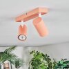 Javel Plafonnier, Spot de plafond Rose, Blanc, 2 lumières