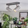 Javel Plafonnier, Spot de plafond Chrome, Gris, 2 lumières