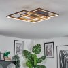 Binor Plafonnier LED Écru, Noir, 1 lumière