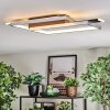 Olian Plafonnier LED Noir, Argenté, 1 lumière