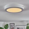 Omaro Plafonnier, Panel LED Blanc, 1 lumière, Changeur de couleurs