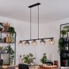 Ripoll Suspension, Boule lumineuse, Suspension Ambre, Clair, Fumé, 5 lumières