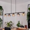 Ripoll Suspension, Boule lumineuse, Suspension Ambre, Clair, Fumé, 5 lumières