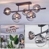 Chehalis Plafonnier, Boule lumineuse Clair, Fumé, 5 lumières