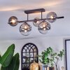 Chehalis Plafonnier, Boule lumineuse Clair, Fumé, 5 lumières