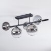 Chehalis Plafonnier, Boule lumineuse Clair, Fumé, 5 lumières