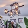 Chehalis Plafonnier, Boule lumineuse Clair, Fumé, 5 lumières