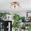 Saire Plafonnier, Spot de plafond Chrome, Laiton, 3 lumières