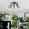 Saire Plafonnier, Spot de plafond Chrome, Noir, 3 lumières