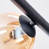 Chehalis Plafonnier, Boule lumineuse Ambre, Clair, Fumé, 5 lumières