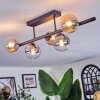 Chehalis Plafonnier, Boule lumineuse Ambre, Clair, Fumé, 5 lumières