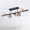 Chehalis Plafonnier, Boule lumineuse Ambre, Clair, Fumé, 5 lumières