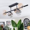 Chehalis Plafonnier, Boule lumineuse Ambre, Clair, Fumé, 5 lumières