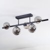 Chehalis Plafonnier, Boule lumineuse Fumé, 5 lumières