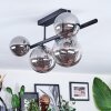 Chehalis Plafonnier, Boule lumineuse Fumé, 5 lumières