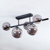 Chehalis Plafonnier, Boule lumineuse Fumé, 5 lumières