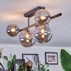 Chehalis Plafonnier, Boule lumineuse Fumé, 5 lumières