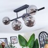 Chehalis Plafonnier, Boule lumineuse Fumé, 5 lumières